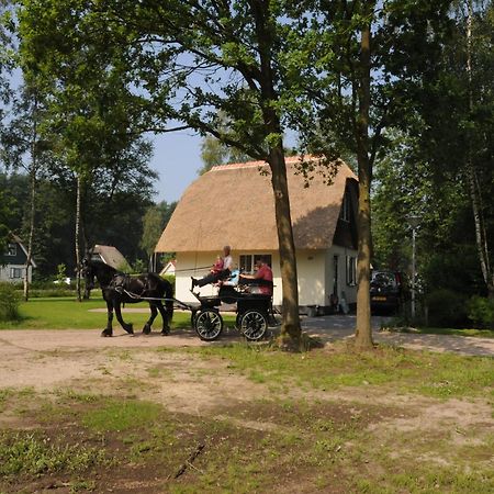 Beautiful Holiday Home In Heeten With Private Garden Exterior foto