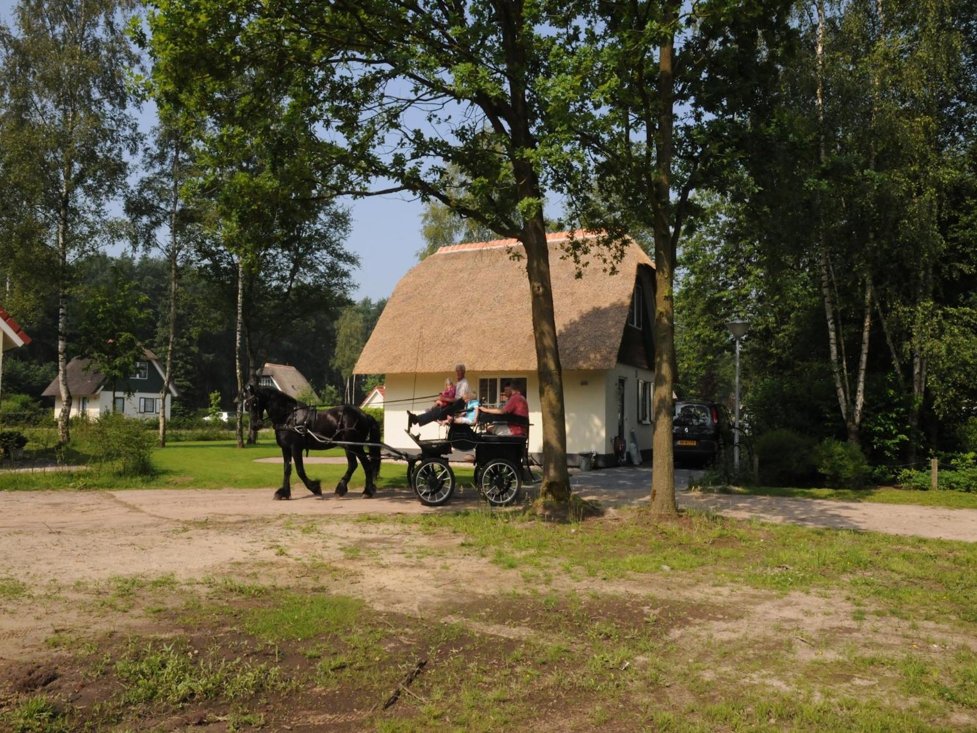 Beautiful Holiday Home In Heeten With Private Garden Exterior foto